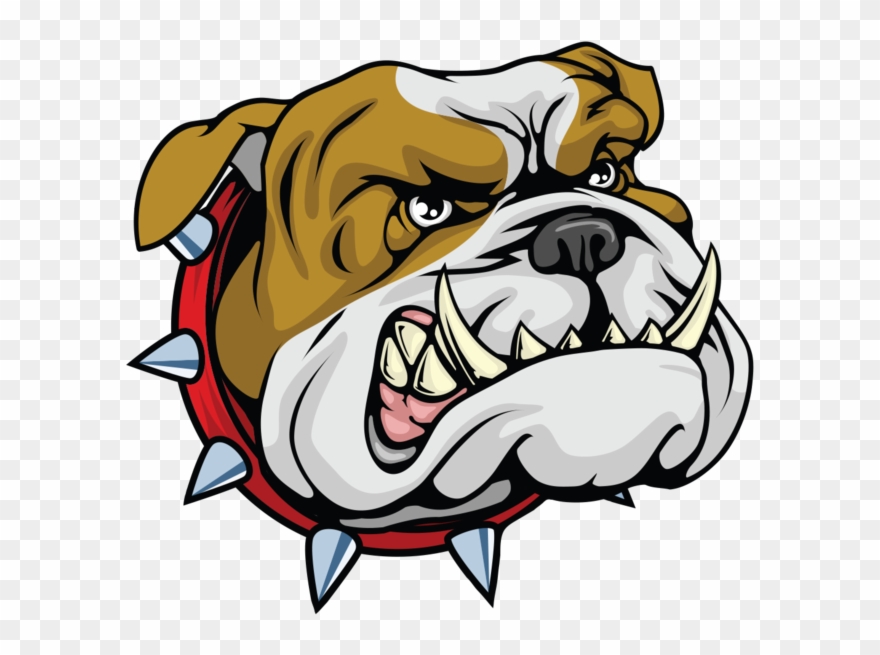Bulldog Cartoonbulldog Mascotcartoon - Head Bulldog Clipart