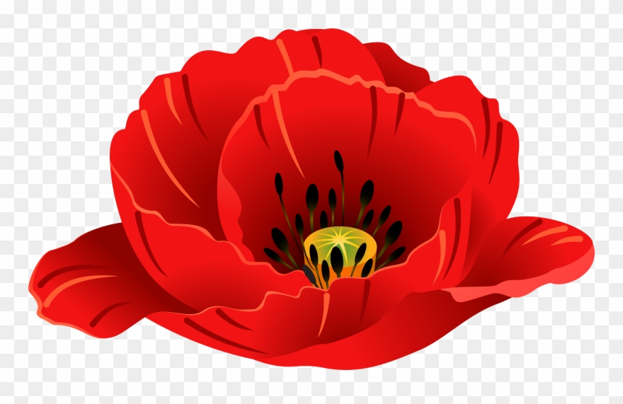 Patriotic Images, Art Images, Poppies, Clip Art, Art - Png Download