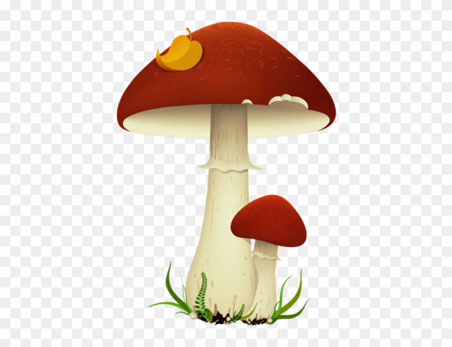 Fall Mushroomspicture Png - Mushrooms Clipart Transparent Background