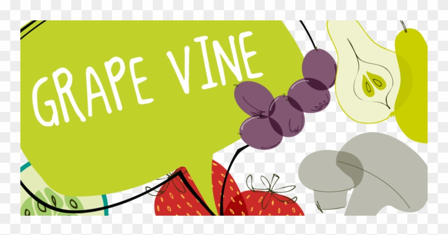 Common Grape Vine Clipart