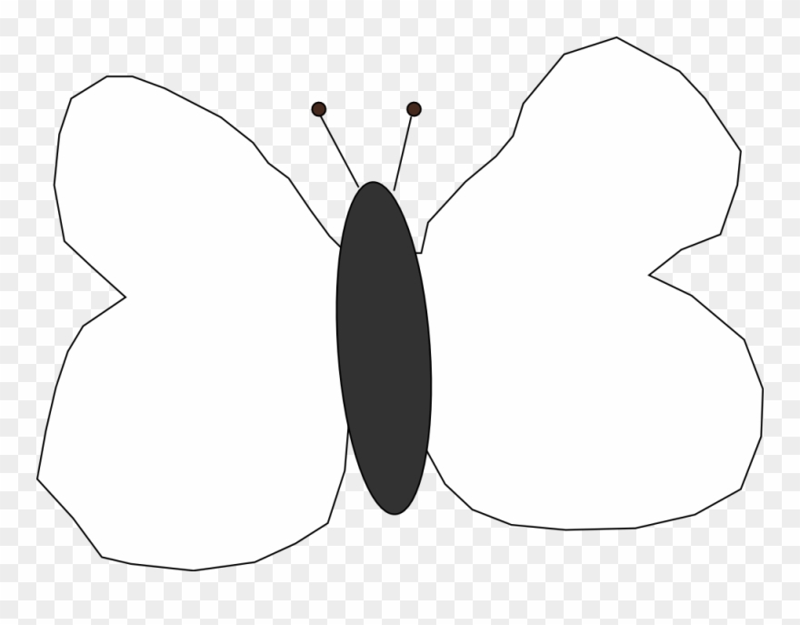 Butterfly 8 Black White Line Art 999px 52 Clipart