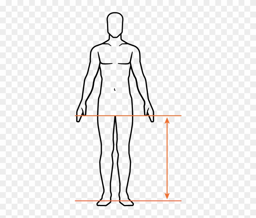 Body Measurements - Standing Clipart