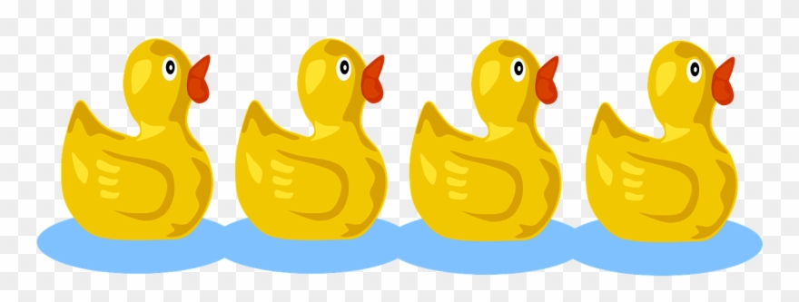 Ducklings Squeaking Follow Water Png Image Clipart