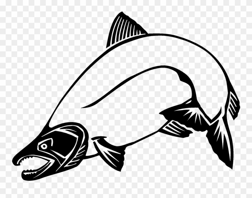 Attractive Salmon Clip Art Chinook Other 1000 744 Transprent - Coho Salmon Clip Art - Png Download