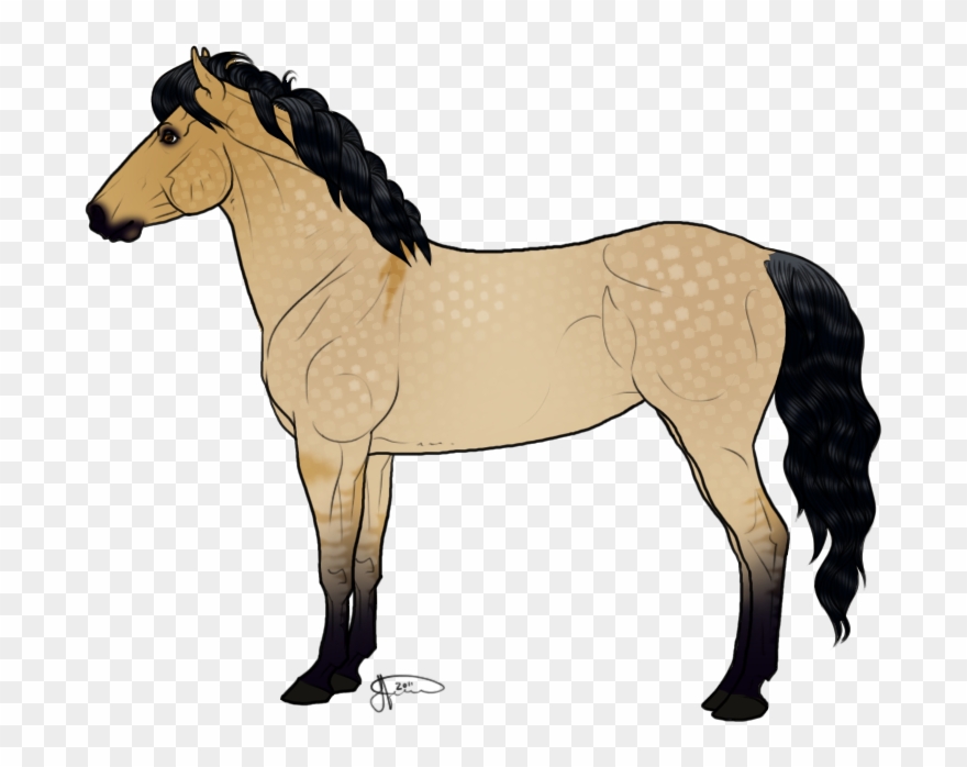 Icelandic Horse Clipart - New Forest Pony Drawing - Png Download