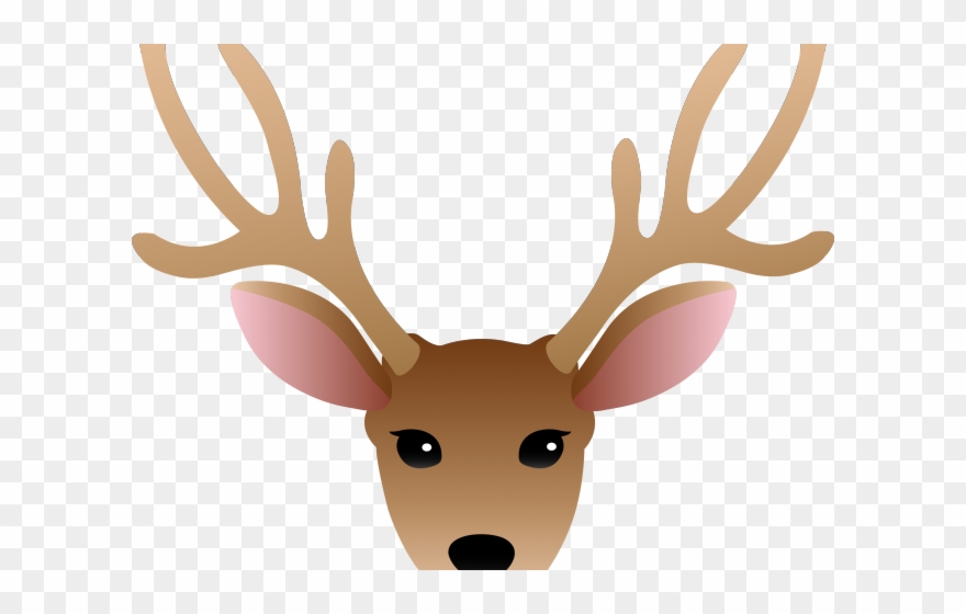 Doe Head Cliparts - Png Download