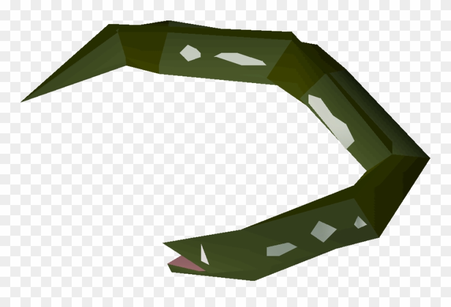 Raw Slimy Eel Detail - Wiki Clipart