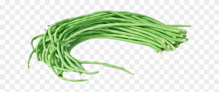 Kacang Panjang Clipart