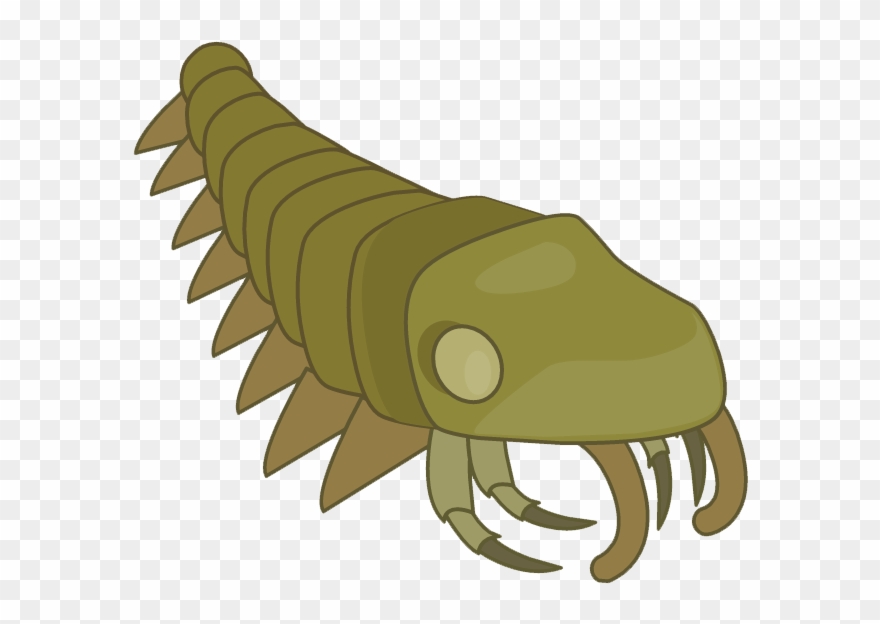 Crsy3ngucaafs72 - Angler Clipart