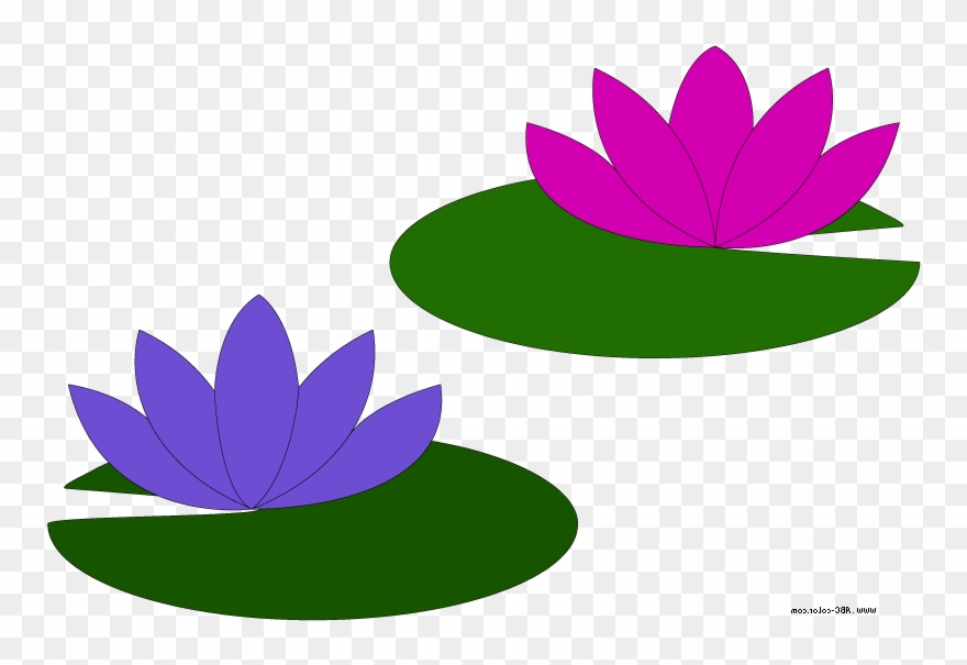 Go Back Gallery For Lily Pad Flower Clipart - Water Lily Clipart - Png Download