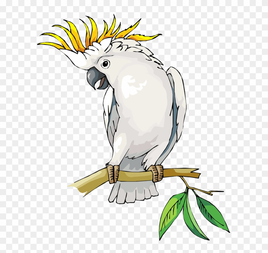 Cockatoo Clipart - Cockatiel Whisperer Mug - Png Download