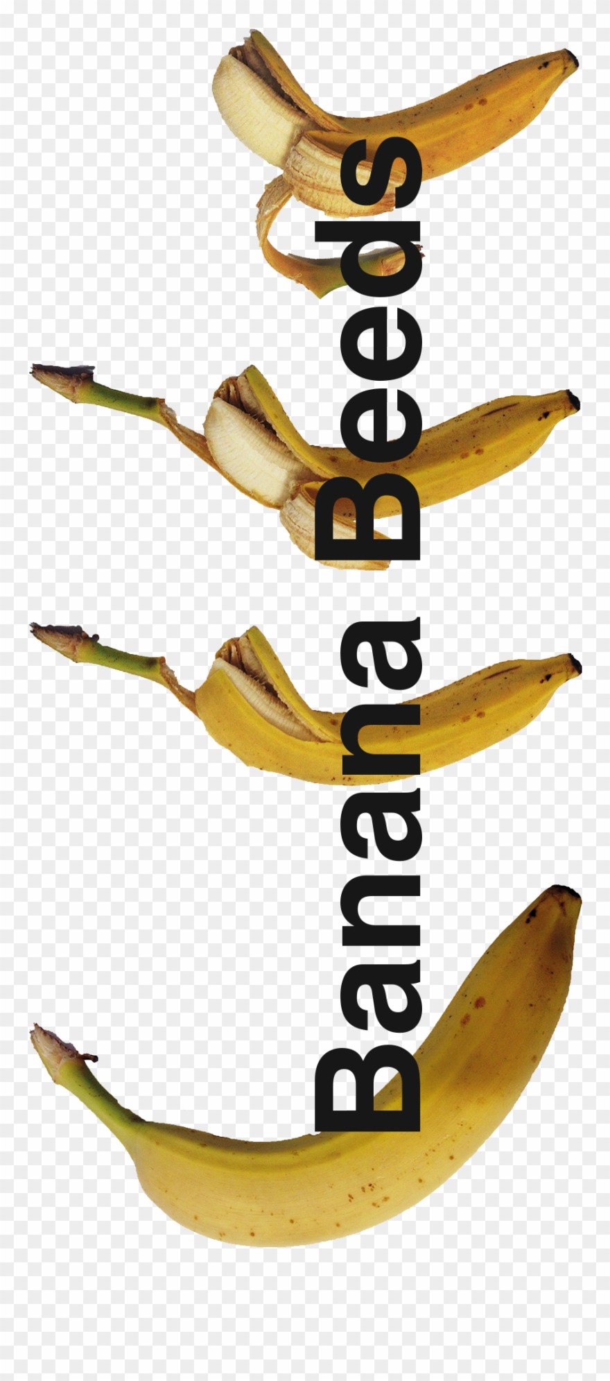 The Company's Logo Would Be This And All That Is The - Banana Clipart