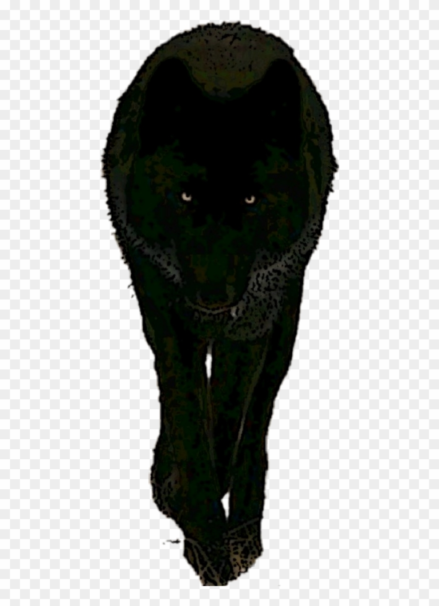 Wolf Clipart