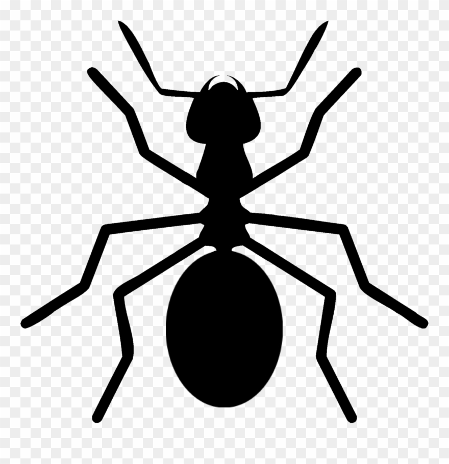 Ants Clipart