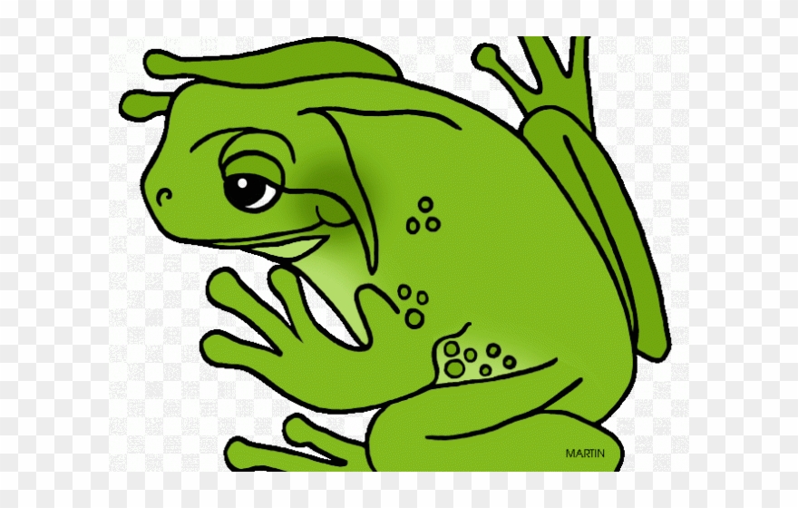 Green Frog Clipart Real Frog - Green Frog Clipart - Png Download