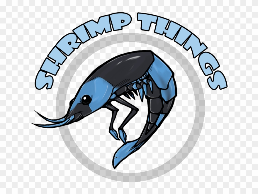 Shrimp Things - Coming Soon - Oppenheim Toy Portfolio Award Clipart