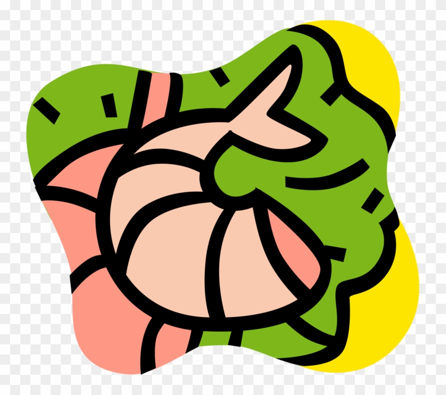 Vector Illustration Of Decapod Marine Crustacean Prawn Clipart