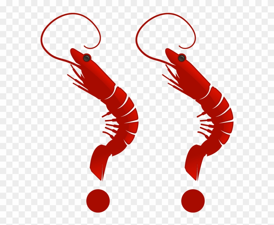 Choose Right Today, More Left Tomorrow Clipart