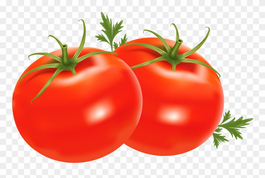 Clipart No Backround Clipground - Vegetable Clipart No Background - Png Download