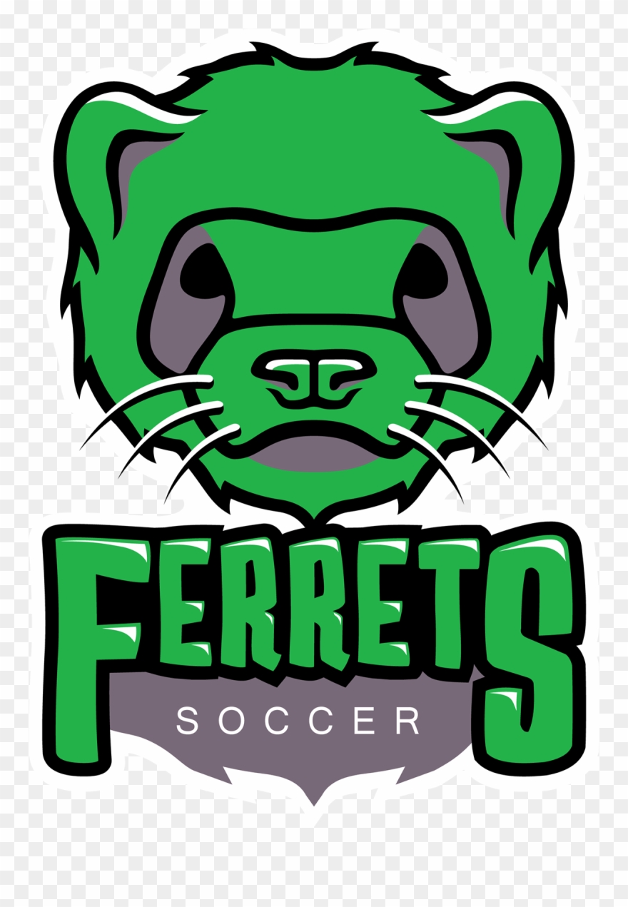 I Brought The Shape Of The Bottom Part Of The Ferret - Ferret Logo Clipart