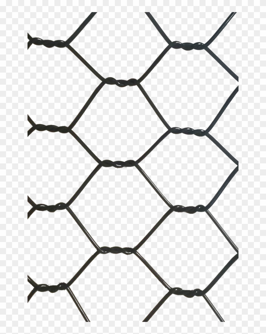 Increased Durability - Penny Board Clipart