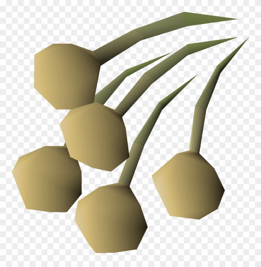 Harvest Clipart Harvest Crop - Onion Seed Osrs - Png Download