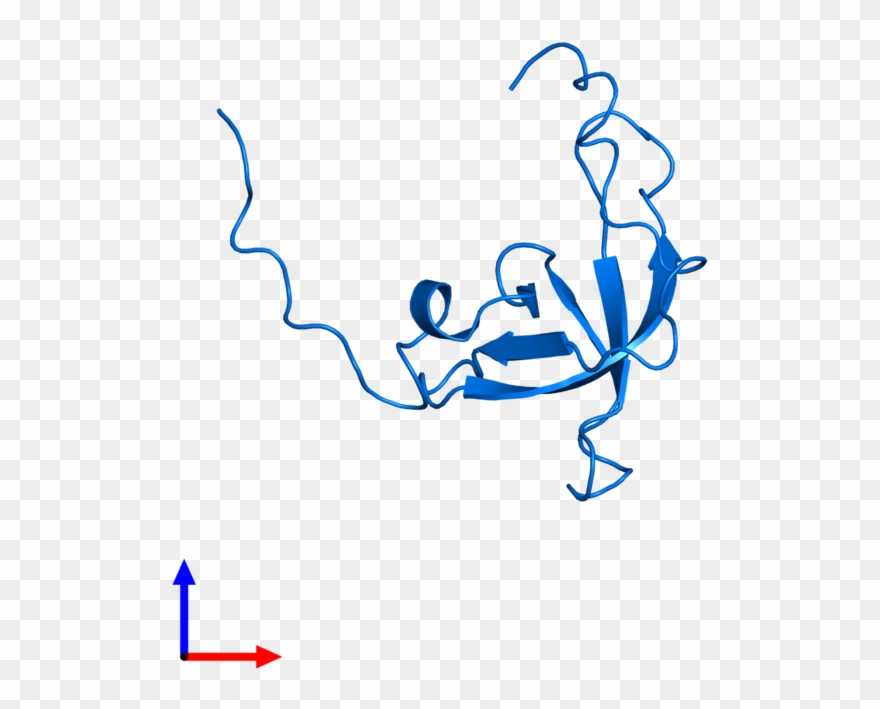 <div Class='caption-body'>pdb Entry 2bud Contains 1 - Illustration Clipart