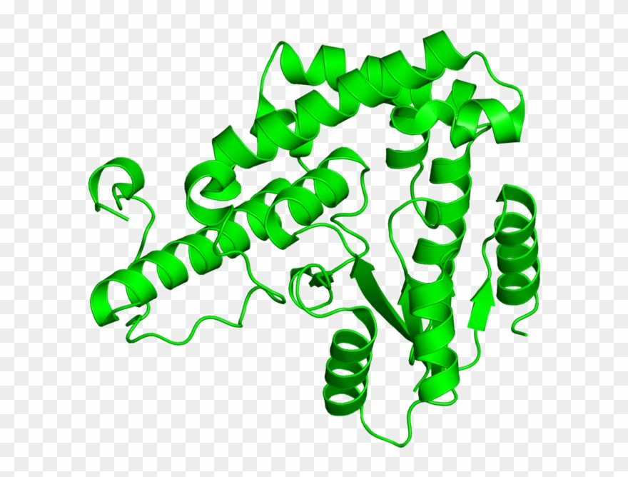 <div Class='caption-body'>1 Copy Of Cath Domain < - Illustration Clipart