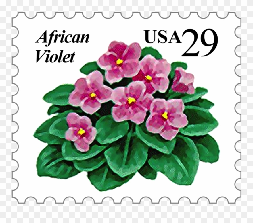 Offered By The African Violet Society Of America, Inc - African Violets Clipart