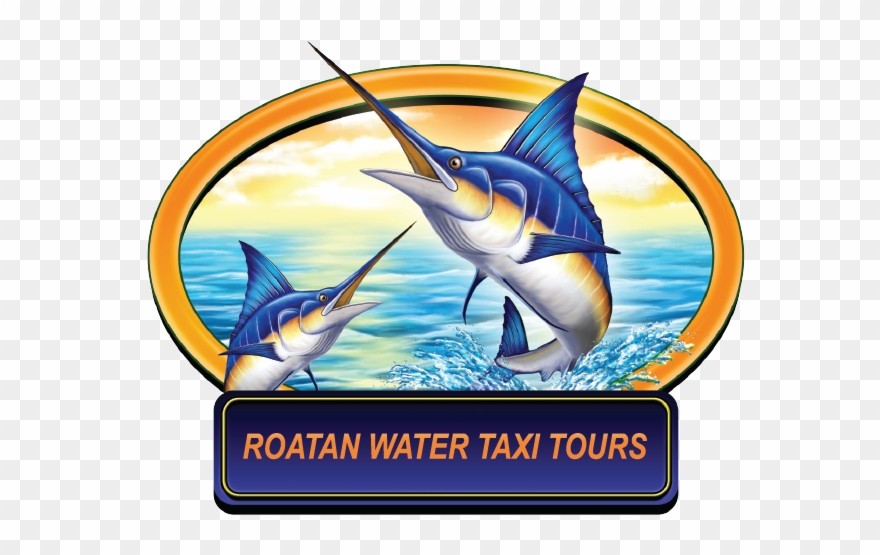 Roatan Water Taxi Tours, West End - Two Carolina Skiff Decals 10 X3 5 Each Clipart