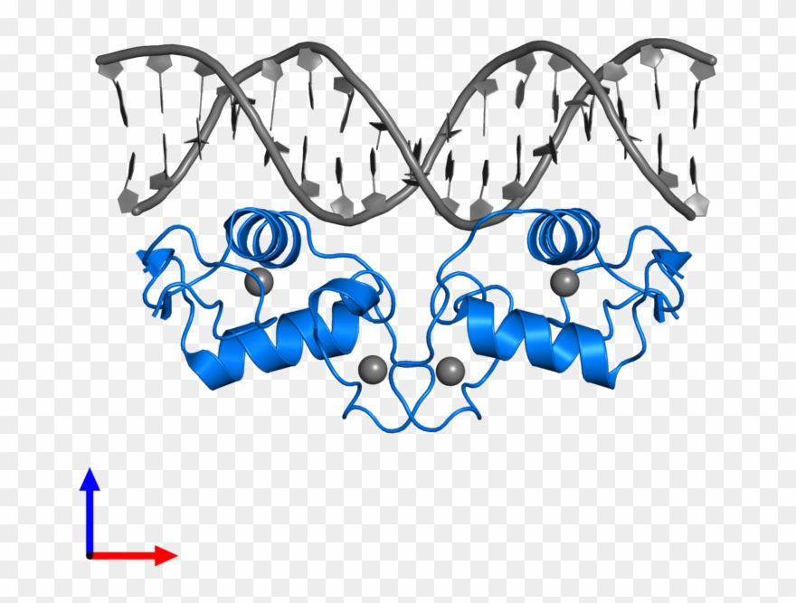 <div Class='caption-body'>pdb Entry 4tnt Contains 2 Clipart