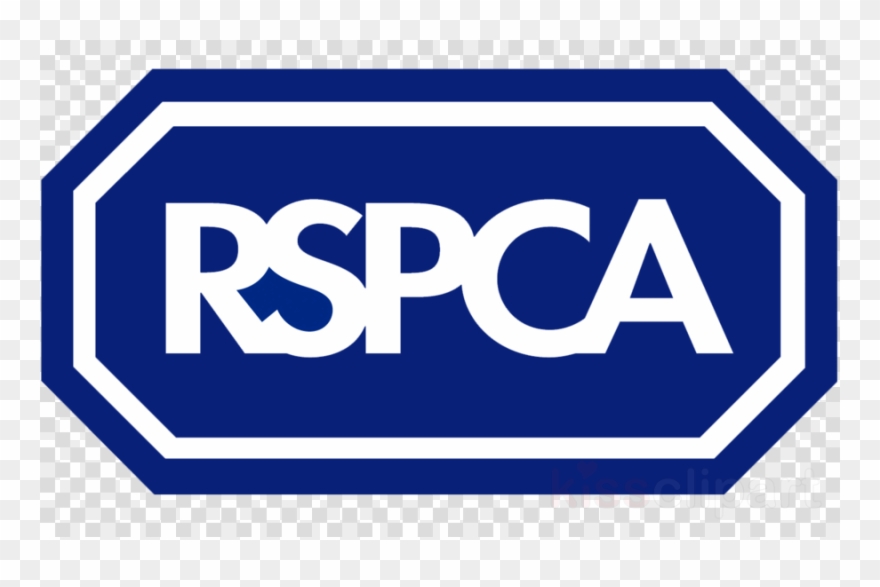 Rspca Logo Clipart Royal Society For The Prevention - Motorola Scout 85 Connect Monitoring Camera With Wi-fi - Png Download
