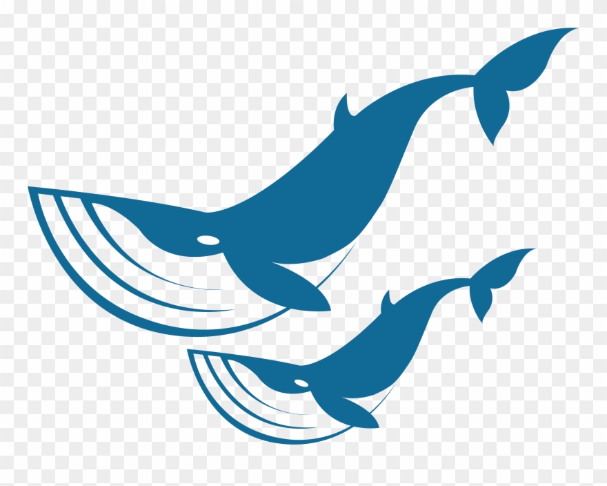 Ningaloo Coast Clipart
