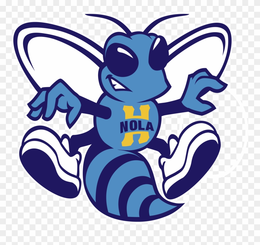 Charlotte Hornets Png Pic Clipart