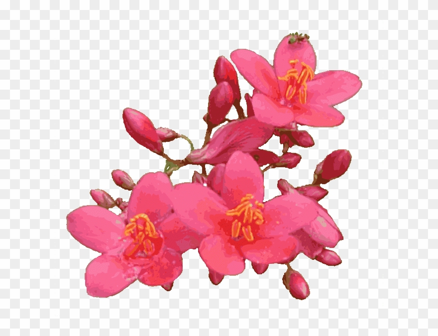 Animated Flower Graphic Library Techflourish Collections - Animated Flower Transparent Background Clipart