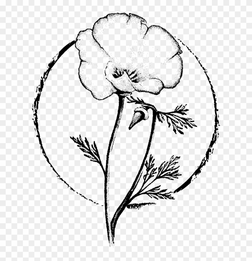 Altar Drawing Natural Banner Library - Portable Network Graphics Clipart