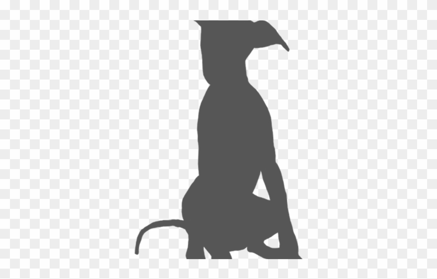 Greyhound Clipart Sleek - Google Search - Png Download