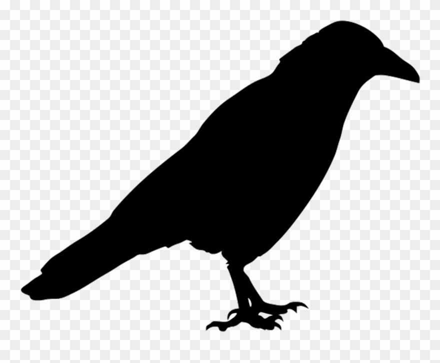 Silhouette Of Crow Clip Art - Png Download