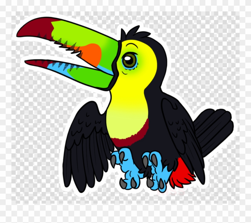 Chibi Clipart Artist Toucan - Hornbill - Png Download