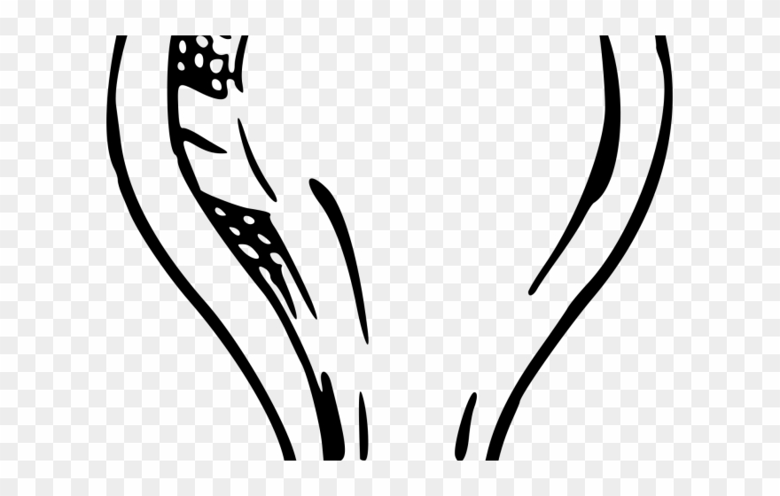 Light Bulb Clipart Inspiration - Light Bulb Hand Drawn Png Transparent Png