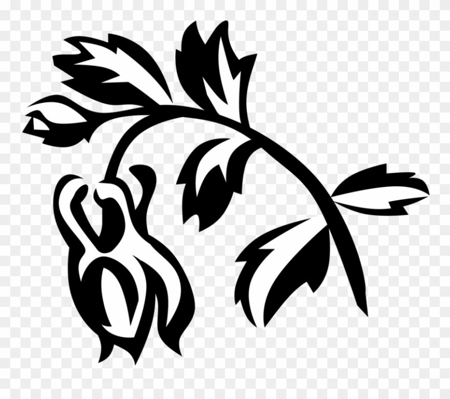 Vector Illustration Of Columbine Perennial Botanical Clipart