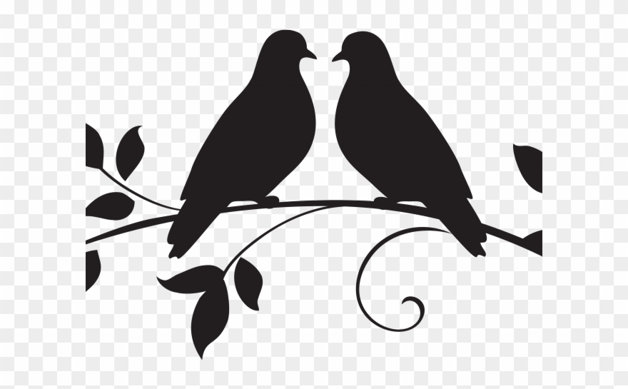 White Dove Clipart Marriage - Drawing Two Bird Love - Png Download