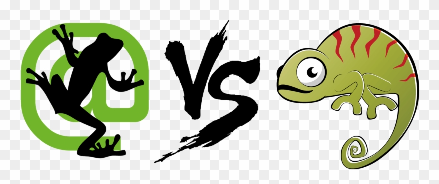 Screaming Frog Seo Spider Clipart