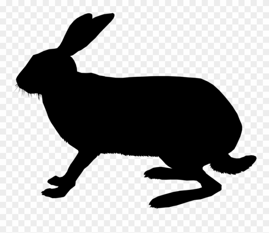 Domestic Rabbit Clipart Domestic Rabbit Hare Whiskers - Clip Art - Png Download