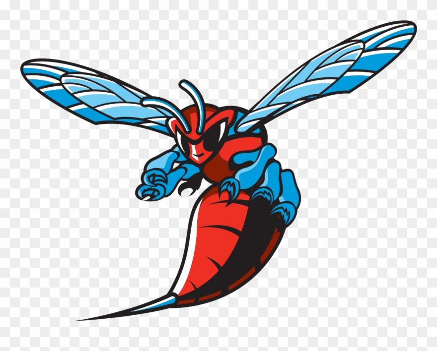 Delaware State Athletics Logo Clipart