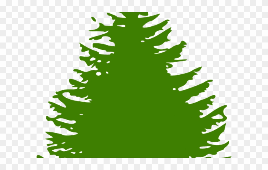 Fir Tree Clipart Forrest Tree - Tree Black And White Simple - Png Download