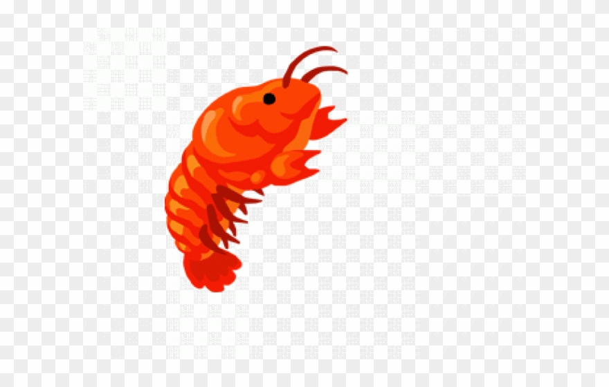 Shrimp Gif Transparent Clipart