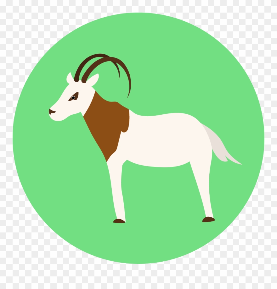Oryx Clipart
