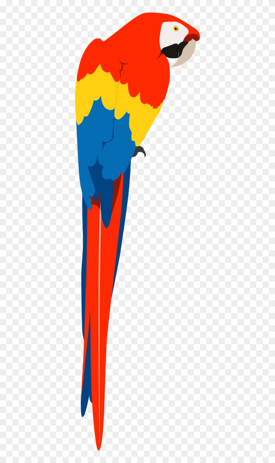 Informative About Their Physical Features, And Also Clipart