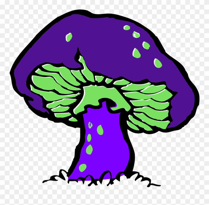 Clipart Mushroom - 7 Parts Of A Mushroom - Png Download